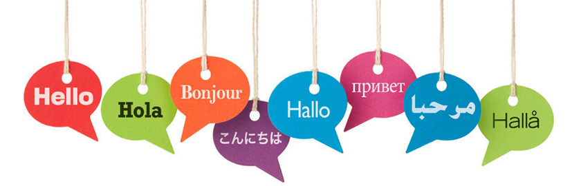 multilingual plugin for e-commerce